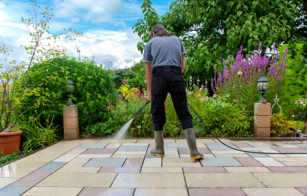 Best Sidewalk and Walkway Cleaning  in Graniteville, SC